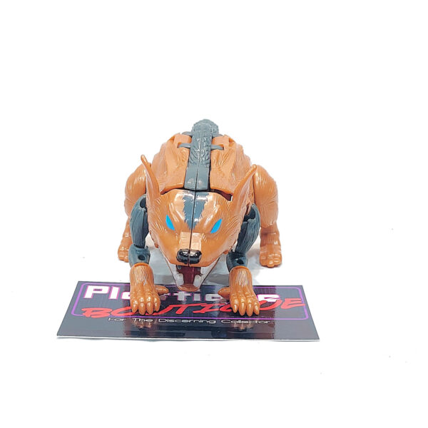 Transformers Beast Wars II: C-14 Tasmanian Kid (Japanese Import)