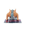 Transformers Beast Wars II: C-14 Tasmanian Kid (Japanese Import)