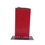 Hallmark Disney Princess: Moana Ornament