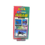 Transformers Beast Wars II: D22 Gigastorm