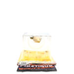 FUNNY ART! Tom & Jerry Happy Kuji Series 2: #20 Dunce Cap Tuffy